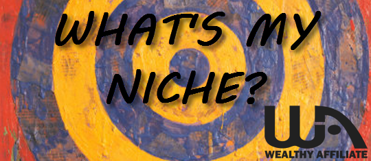 how to choose niche
